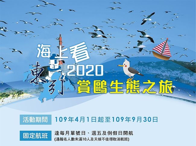 2020海上看東引賞鷗生態之旅4月1日開跑  照片