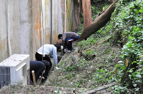 紅會青年志工協助清理馬祖支會周邊環境　面貌煥然一新  照片