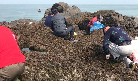 西莒頂級紫菜採擷地　菜浦澳外礁石終於開採  附加圖片