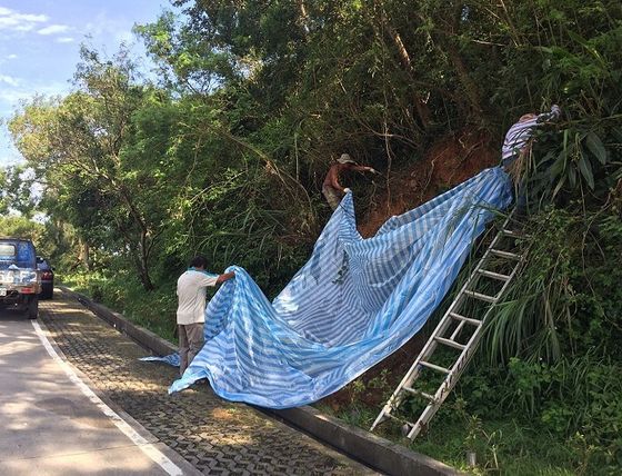 雙颱災後處理　南竿山海線道路坍方處進行帆布覆蓋  照片