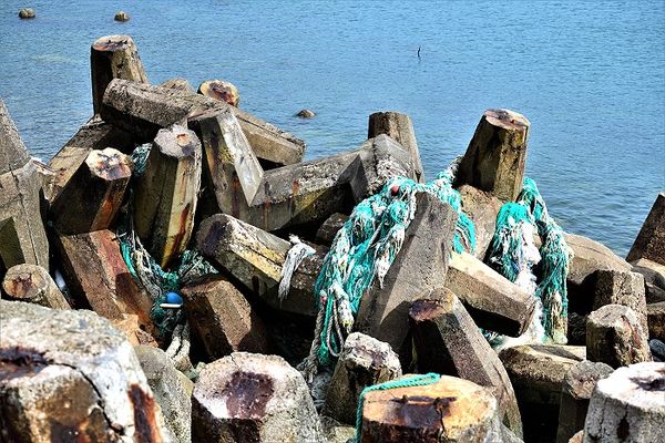 減少沿近海廢棄漁具　須落實責任制漁業管理  照片