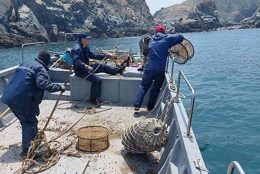 產發處東莒海域清除1770公斤章魚籠及違法網具  照片